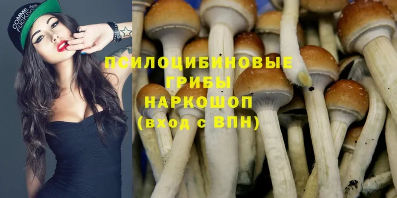 Галлюциногенные грибы MAGIC MUSHROOMS  где продают   Саров 